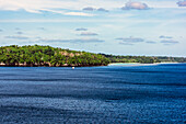 Palmenwald auf den Conflict-Inseln (auch Conflict Atoll), ein Atoll in der Salomonensee, Provinz Milne Bay, Papua-Neuguinea, Melanesien, Südsee