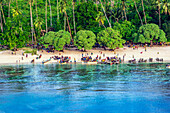 Menschen am Strand und Palmenwald auf den Conflict-Inseln (auch Conflict Atoll), ein Atoll in der Salomonensee, Provinz Milne Bay, Papua-Neuguinea, Melanesien, Südsee