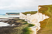 Kreidefelsen Seven Sisters an der englischen Südküste zwischen Seaford und Eastbourne, West Sussex, England, Vereinigtes Königreich