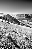 Neuschnee mit Raureifkristallen und Blick auf Kranzhorn und Inntal, vom Heuberg, Chiemgauer Alpen, Oberbayern, Bayern, Deutschland