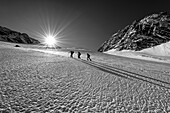 Three people on a ski tour climb over a wide snow cirque, Höllensteinkar, Zillertal Alps, Zillertal Alps Nature Park, Tyrol, Austria