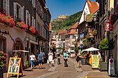  Old town and castle ruins in Ribeauville, Alsace, France  