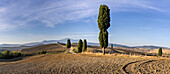 Autumn morning near Pienza, Gladiator Photo Spot, Tuscany, Italy, Europe