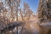 Winter in the Weilheimer Moos, Weilheim, Bavaria, Germany, Europe