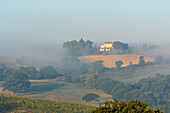 Farmstead near Cinigiano in the morning mist, Province of Grosseto, Tuscany, Italy
