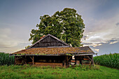  Field barn in Oberland, Weilheim, Bavaria, Germany, Europe 