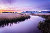 Ach im Morgennebel, Uffing am Staffelsee, Oberbayern, Bayern, Deutschland