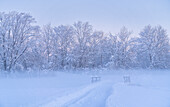 Wanderweg im Winter im Weilheimer Moos, Weilheim, Bayern, Deutschland, Europa