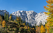  Golden autumn in the Eng, Hinterriß, Karwendel, Tyrol, Austria  