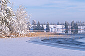  Winter at Staffelsee, Uffing, Upper Bavaria, Bavaria, Germany 