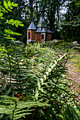  Park with arboretum/botanical garden at Kalkhorst Castle, Klützerwinkel, Baltic Sea coast, Mecklenburg-Western Pomerania, Germany 