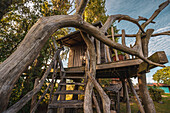  Surf hostel with tiki bar, pizzeria, tree house and tiny house, Ummanz, Rügen, Baltic Sea coast, Mecklenburg Western Pomerania, Germany 