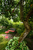 Garten vom Cafe Naschkatze, Krummin, Usedom, Ostseeküste, Mecklenburg-Vorpommern, Deutschland