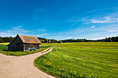 Scheune und Blumenwiese, Musbach, bei Freudenstadt, Schwarzwald, Baden-Württemberg, Deutschland