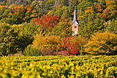 Kirchturm des Ortsteil Haardt im Herbst in Neustadt an der Weinstraße, Rheinland-Pfalz, Deutschland