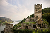  Hinterhaus castle ruins with a view of the Danube valley near Spitz an der Donau, UNESCO World Heritage Site “Wachau Cultural Landscape”, Lower Austria, Austria, Europe 