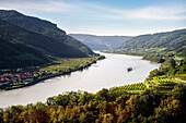 Schiff fährt durch das Donautal, UNESCO Welterbe "Kulturlandschaft Wachau", Tausendeimerberg, Spitz an der Donau, Niederösterreich, Österreich, Europa