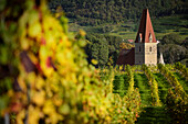 Blick über Weingärten hin zur Pfarrkirche Mariä Himmelfahrt, UNESCO Welterbe "Kulturlandschaft Wachau", Weißenkirchen in der Wachau, Niederösterreich, Österreich, Europa