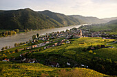  View over vineyards to Weißenkirchen in der Wachau with the parish church of the Assumption of Mary and the Danube, UNESCO World Heritage Site &quot;Wachau Cultural Landscape&quot;, Lower Austria, Austria, Europe 
