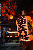 Berühmte Gasse mit verschiedenen Imbissständen, Omoide Yokocho, Shinjuku City, Tokio, Tokyo, Japan, Asien