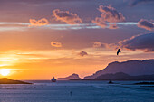  Sunrise over the Tyrrhenian Sea near Olbia, Sardinia, Italy 