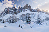  Sella massif from Gardena Pass, Passo Gardena, South Tyrol, Alto Adige, Italy 