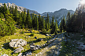  Soiernspitze, Karwendel, Bavaria, Germany 