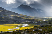 Oberes Rapadalen, Sarek Nationalpark, Lappland, Schweden, Europa