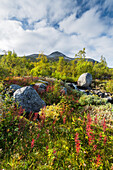 Berg Hallji, Stora Sjöfallet Nationalpark, Lappland, Schweden, Europa