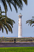 Leuchtturm Faro De Jandia, Fuerteventura, Kanarische Inseln, Spanien