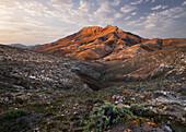 Montana Cardón, Fuerteventura, Kanarische Inseln, Spanien