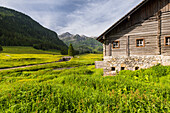 Gnadenalm, Radstädter Tauern, Salzburg, Österreich