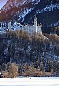  Neuschwanstein Castle in winter, Allgäu, Swabia, Bavaria, Germany 