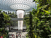  Jewel Changi Airport Waterfall, International Airport, Singapore, Republic of Singapore, Southeast Asia 
