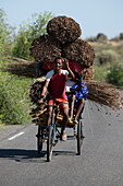 Einheimischer Mann winkt beim Transport von Schilfrohr auf Dreirad, Toliary II, Atsimo-Andrefana, Madagaskar, Indischer Ozean
