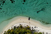 Luftaufnahme eines Motorbootes und Menschen am Strand mit Kokospalmen, Bijoutier Island, Alphonse Group, Äußere Seychellen, Seychellen, Indischer Ozean
