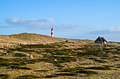 Leuchtturm List-Ost im Winter, Sylt, Schleswig-Holstein, Deutschland