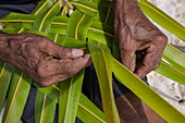  Detail shot of hands weaving a basket from coconut palm fronds, Bijoutier Island, Alphonse Group, Outer Seychelles, Seychelles, Indian Ocean 