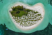 Luftaufnahme der Insel Bijoutier, Bijoutier Island, Alphonse Group, Äußere Seychellen, Seychellen, Indischer Ozean