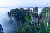 Früh morgens an der Bastei, Rathen, Sächsische Schweiz, Elbsandstein, Pirna, Sachsen, Deutschland, Europa