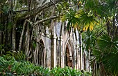  Park of the Quintinha de Monserrate above Sintra near Lisbon, Portugal 