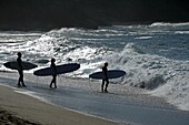  Atlantic coast, surfers at Praia Ribheira d´Ilhas near Ericeira, Portugal 