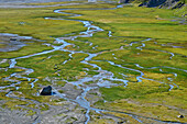 Blick auf Flussmäander im Unteren Segnesboden, Plaun Segnas Sut, Tektonikarena Sardona, Glarner Hauptüberschiebung, UNESCO Weltnaturerbe Glarner Alpen, Glarner Alpen, Graubünden, Schweiz 