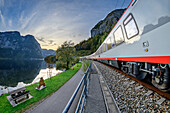 Bahn fährt am Hallstätter See entlang, Dachstein im Hintergrund, Salzkammergutbahn, Salzkammergut, Oberösterreich, Österreich
