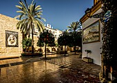  Plaza de la Eglesia in Marbella with palm trees and orange trees, Costa del Sol, Andalusia, Spain 