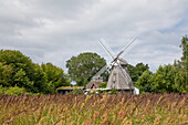  Windmill in Ahrenshoop, Fischland/Darß, Baltic Sea, Mecklenburg-Western Pomerania, Germany 