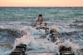  Beach with groynes near Ahrenshoop in the sunset, Fischland/Darß, Baltic Sea, Mecklenburg-Western Pomerania, Germany 