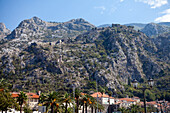 Festung von Kotor, Kotor, Montenegro