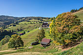 Landschaft am Wiedner Eck im Belchengebiet, Wieden, Schwarzwald, Baden-Württemberg, Deutschland