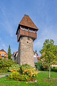 Storchenturm, Waldshut-Tiengen, Hochrhein, Rhein, Schwarzwald, Baden-Württemberg, Deutschland